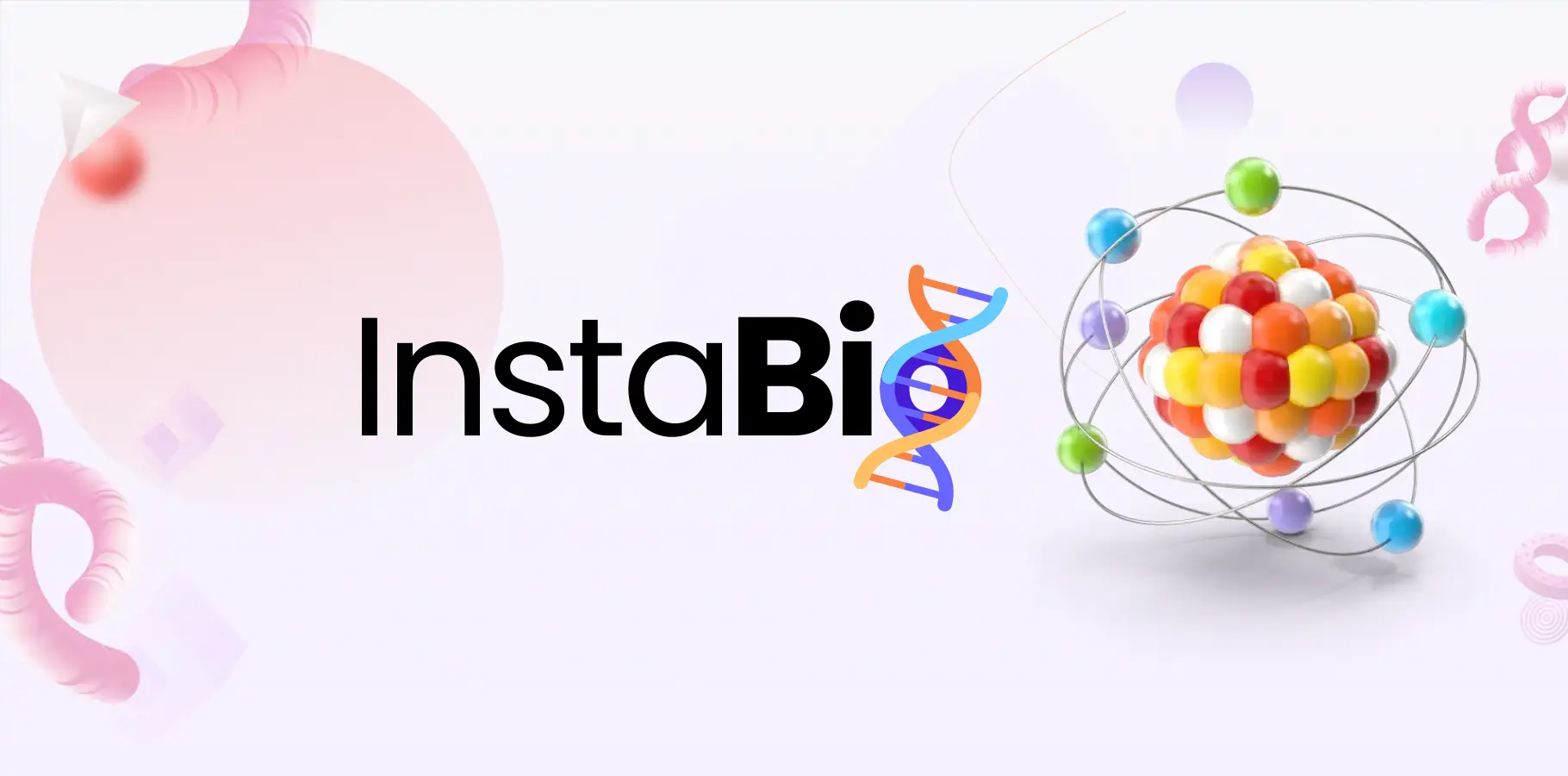 InstaBio Logo & Branding