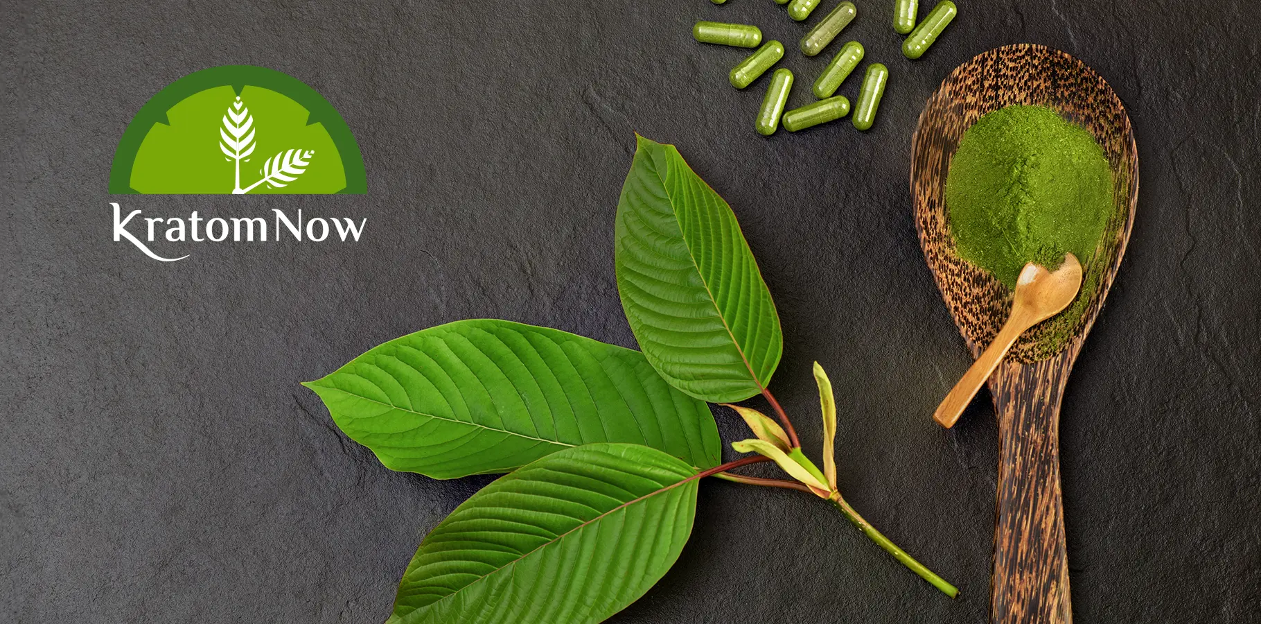 Kratom Now Logo & Branding