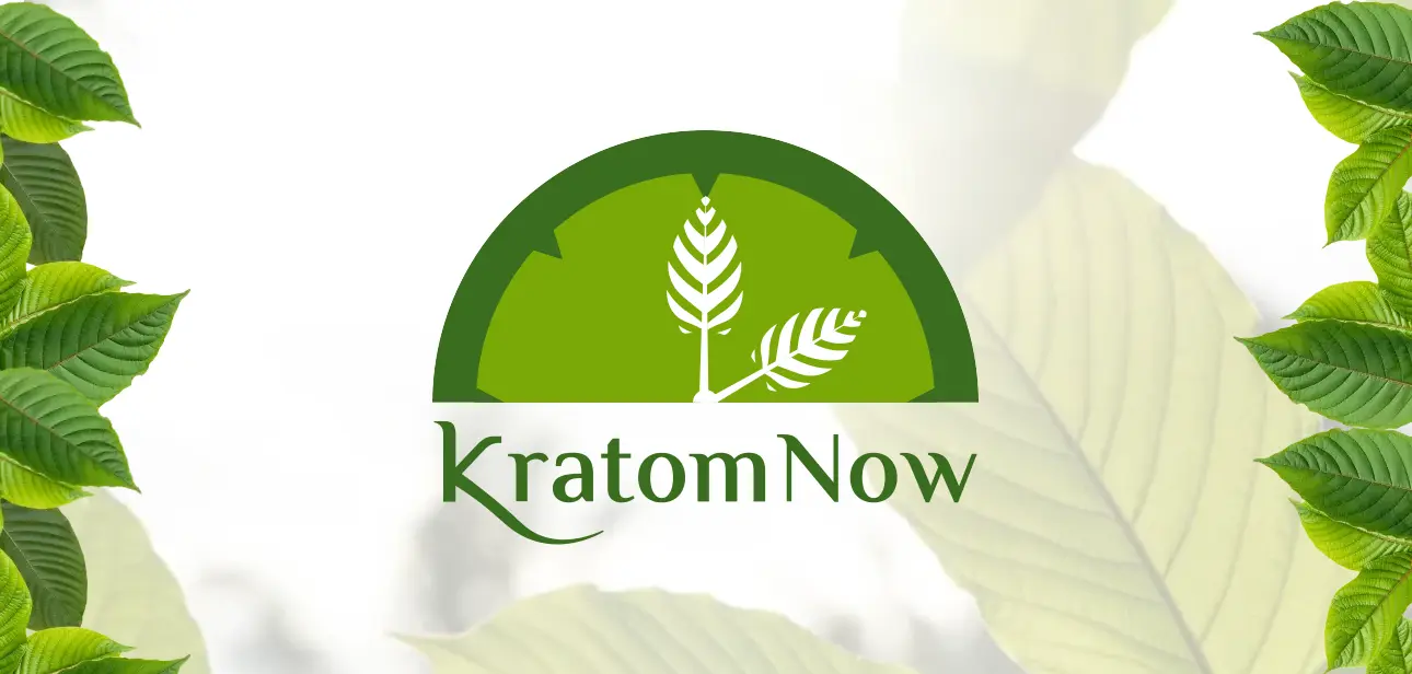 Kratom Now Logo Showcase
