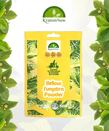 Kratom Now Packing Design