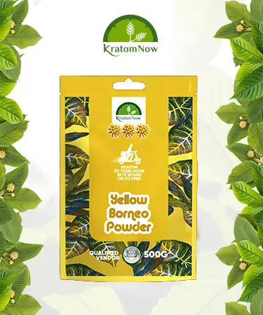 Kratom Now Packing Design