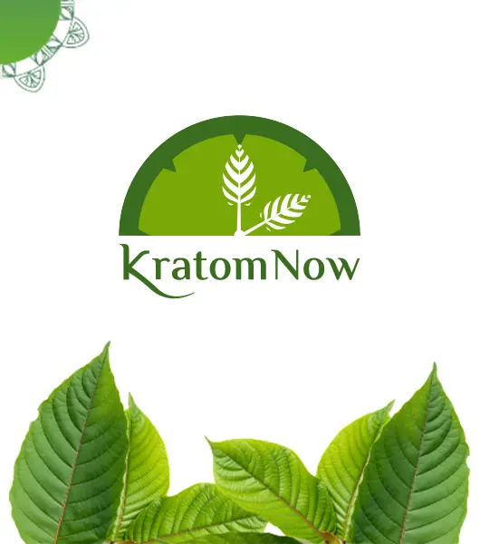 Kratom Now Logo