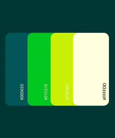 Monsa Logo Showcase