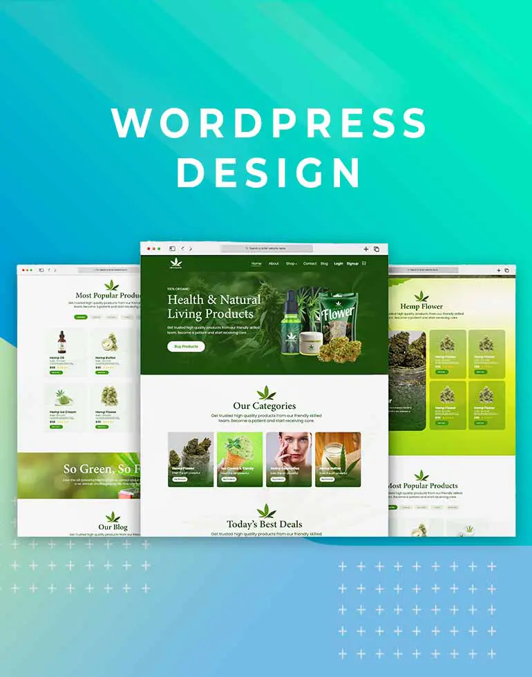 Wordpress Design